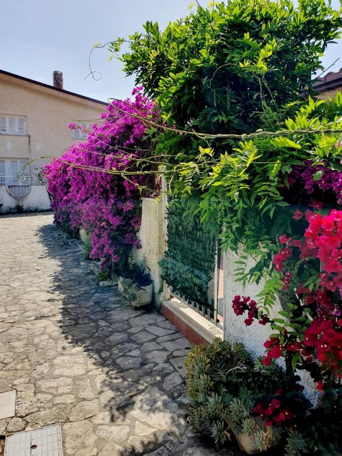 Casa Susy Bouganville 400 Mt Dal Mare Sperlonga Kültér fotó